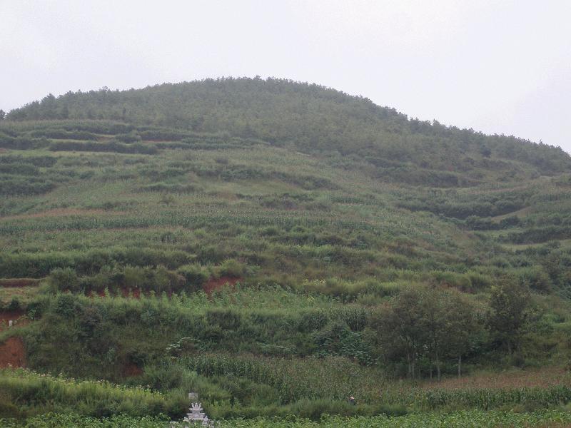 長衝下村山林