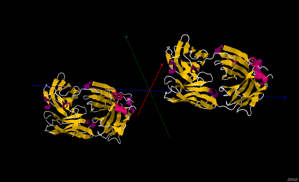 Cetuximab