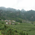 老陽坡村