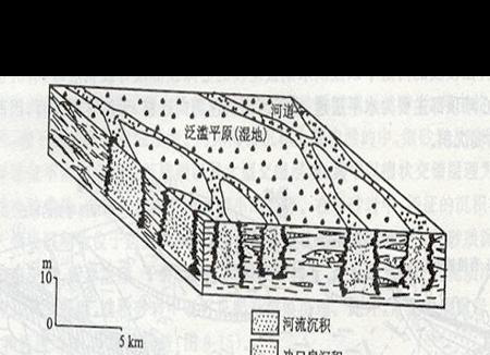 網狀河環境單元