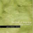 The Book of American Negro Poetry(Johnson, James Weldon著圖書)