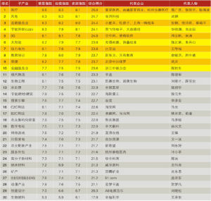 2009年中國新興產業排行榜