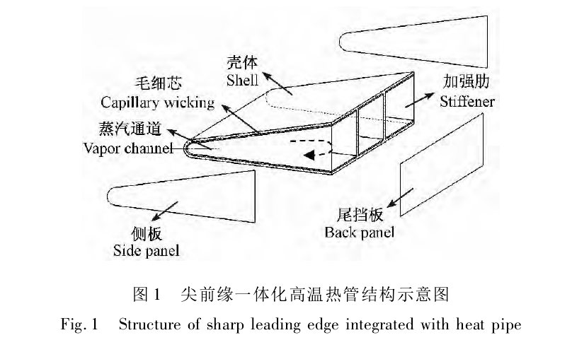 尖前緣