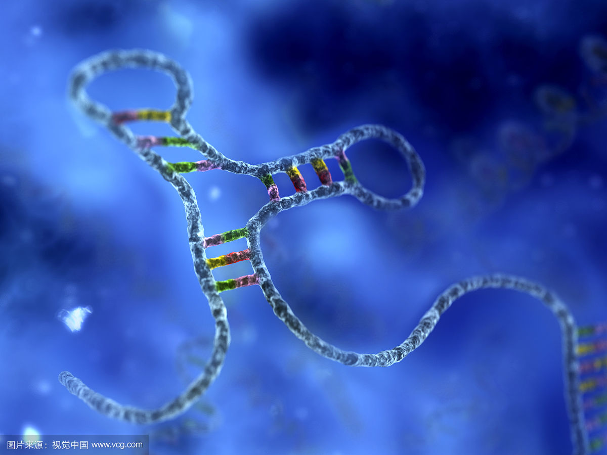 RNA