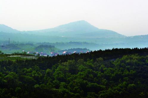 茶山園藝旅遊區