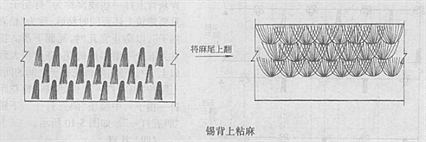 錫背上苫麻