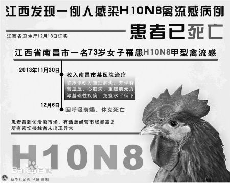 甲型H10N8禽流感(甲型H10N8)