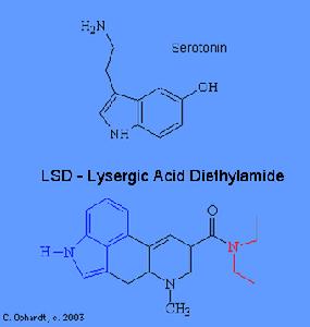 LSD