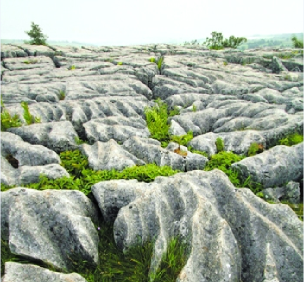 岩溶剝蝕面