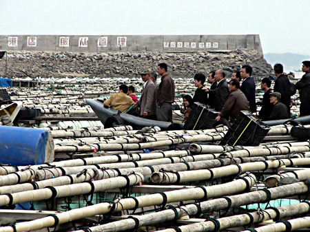 鮑魚養殖魚排