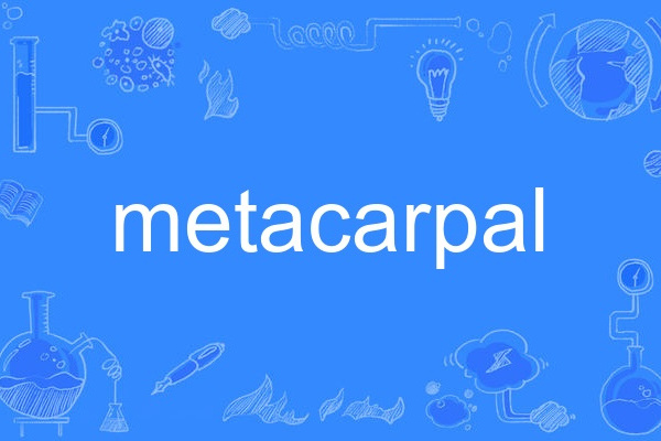 metacarpal