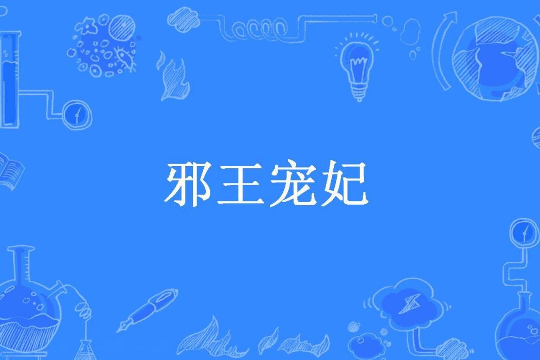 邪王寵妃(龍曉曉所著小說)