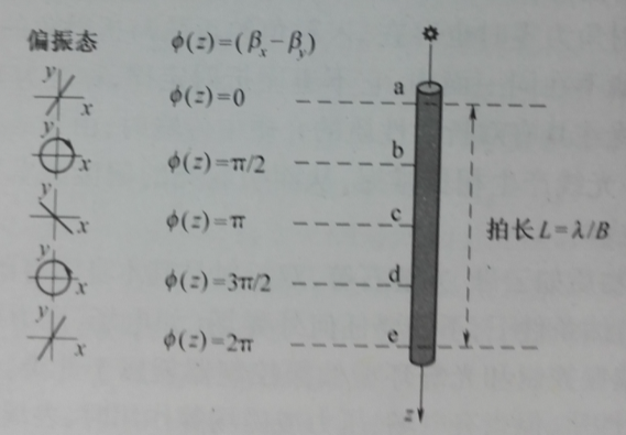 光偏振控制器