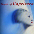 TROPIC OF CAPRICORN（南回歸線）