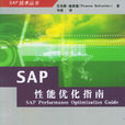 SAP性能最佳化指南