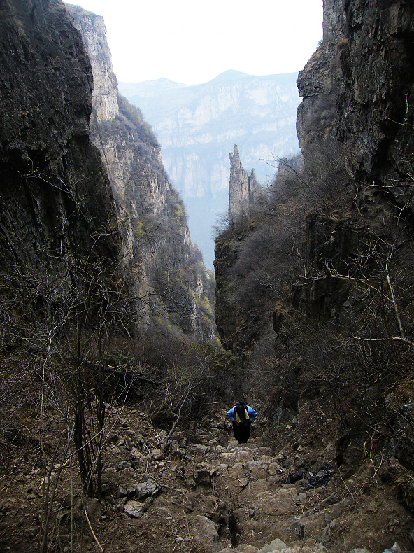 驢行百問