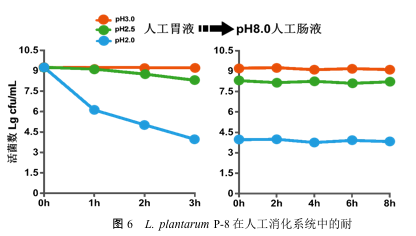 植物乳桿菌P-8