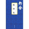 微神(2009年文匯出版社出版的圖書)