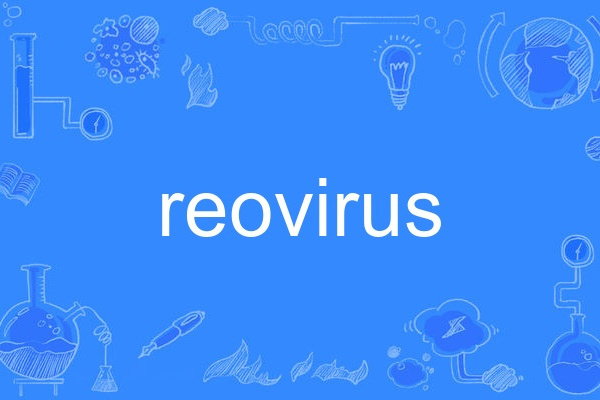 reovirus