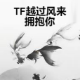 TF越過風來擁抱你