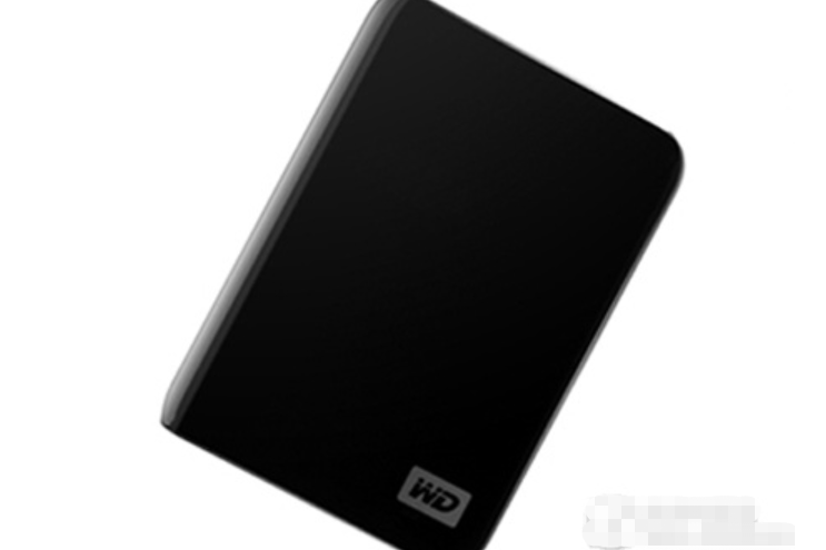 WD My Passport Essential 1TB(WDBACY10000A)