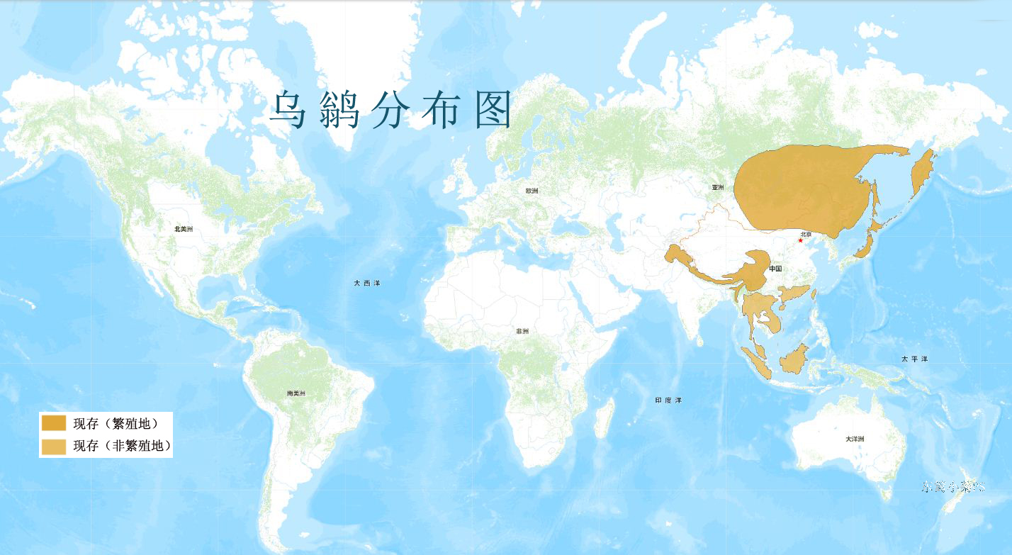 烏鶲分布圖