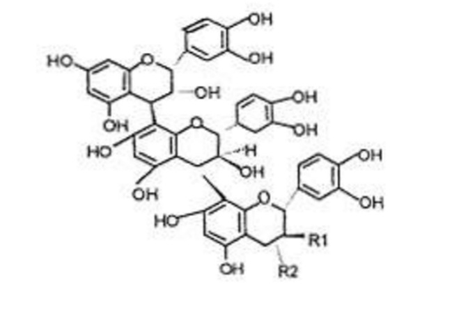 多酚(多酚物質)