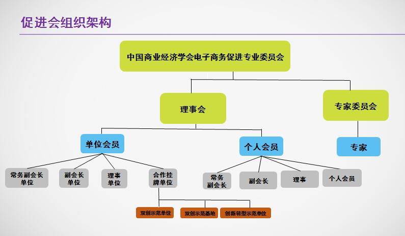 中國商業經濟學會電子商務促進專業委員會