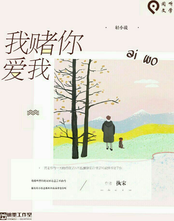 我賭你愛我(執宋的小說)