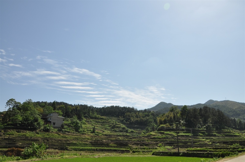 湖南雙峰縣九峰山森林公園