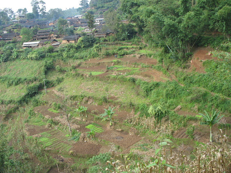 回掌村