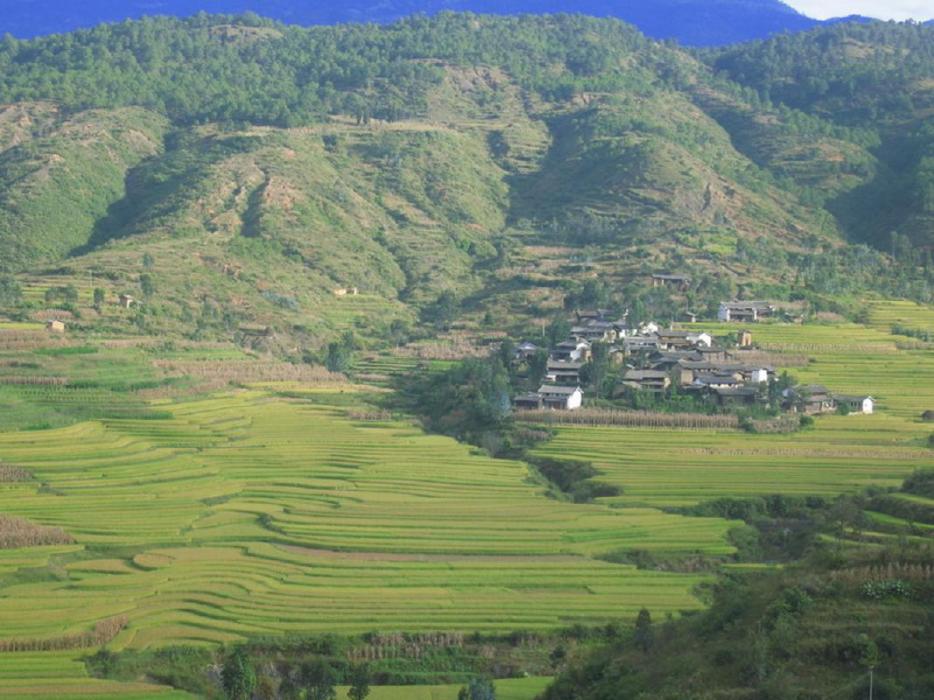 龍門甸自然村