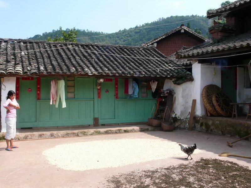 龍街村(雲南省紅河建水縣曲江鎮龍街村)