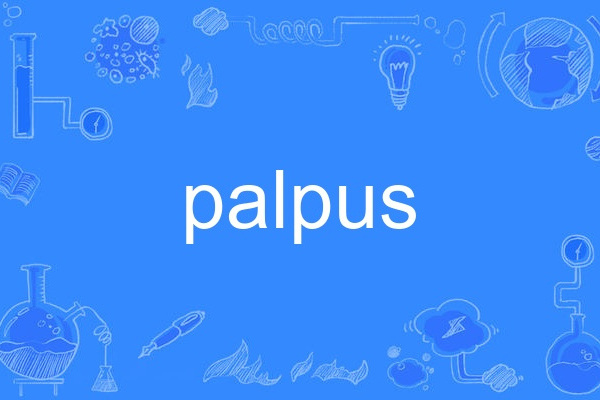 palpus