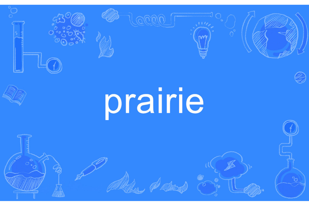 Prairie(英文單詞)