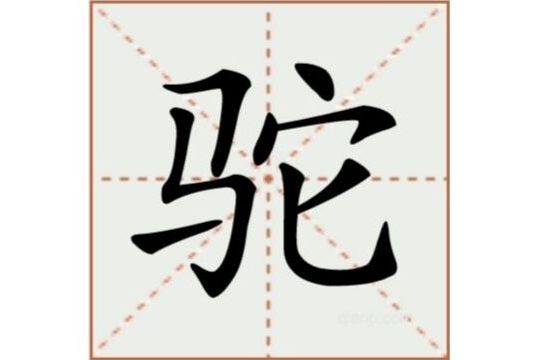 駝(漢語漢字)