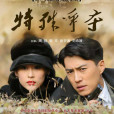 特殊爭奪(2009年靳東主演電視劇)