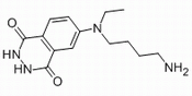 N-（4-氨丁基）-N-乙基異魯米諾