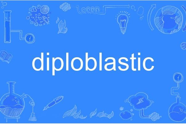 diploblastic