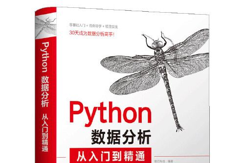 Python數據分析從入門到精通(2021年清華大學出版社出版的圖書)