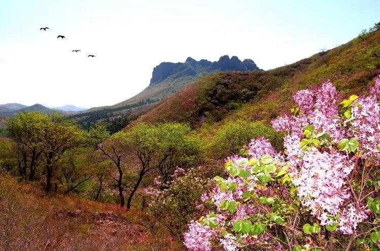 蓮花山村