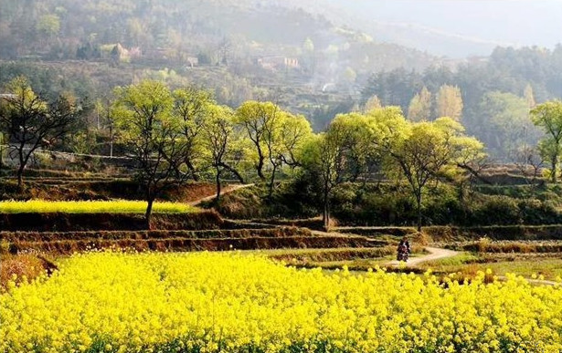 吳河鄉鄉村四月風光