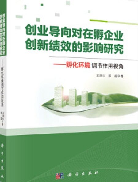 創業導向對在孵企業創新績效的影響研究——孵化環境調節作用視角