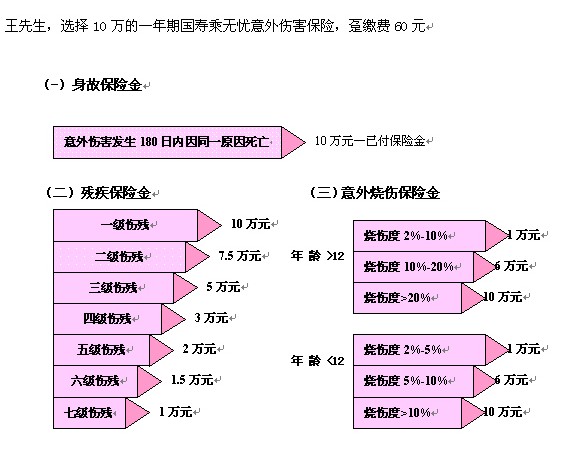 殘疾收入補償保險