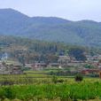 金家寨村(雲南師宗縣丹鳳鎮下轄村)