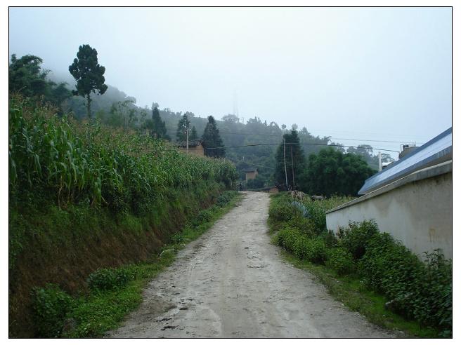 田坡上自然村通村道路