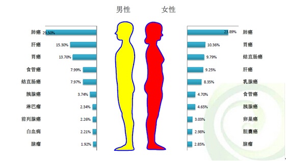 2009中國腫瘤登記年報