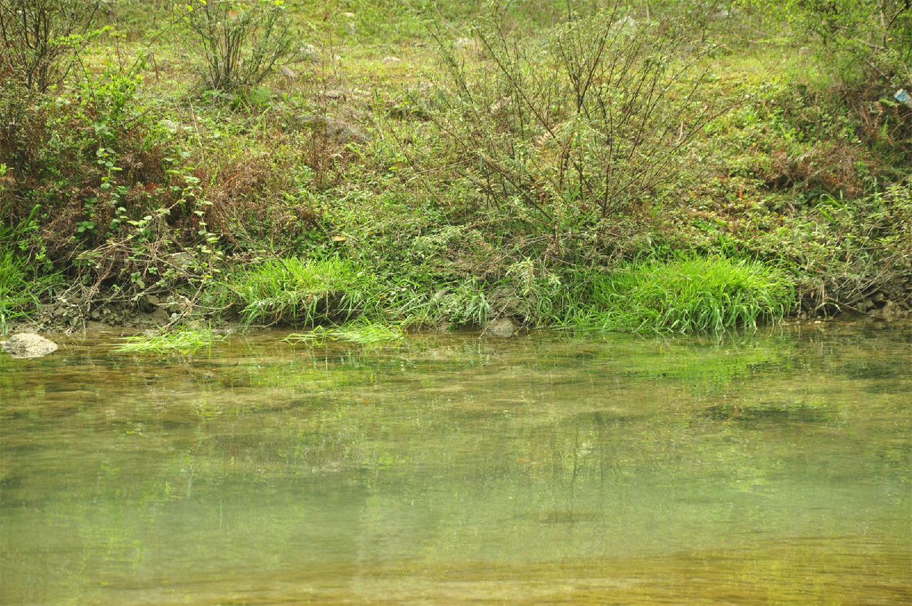 貴州萬山長壽湖國家濕地公園