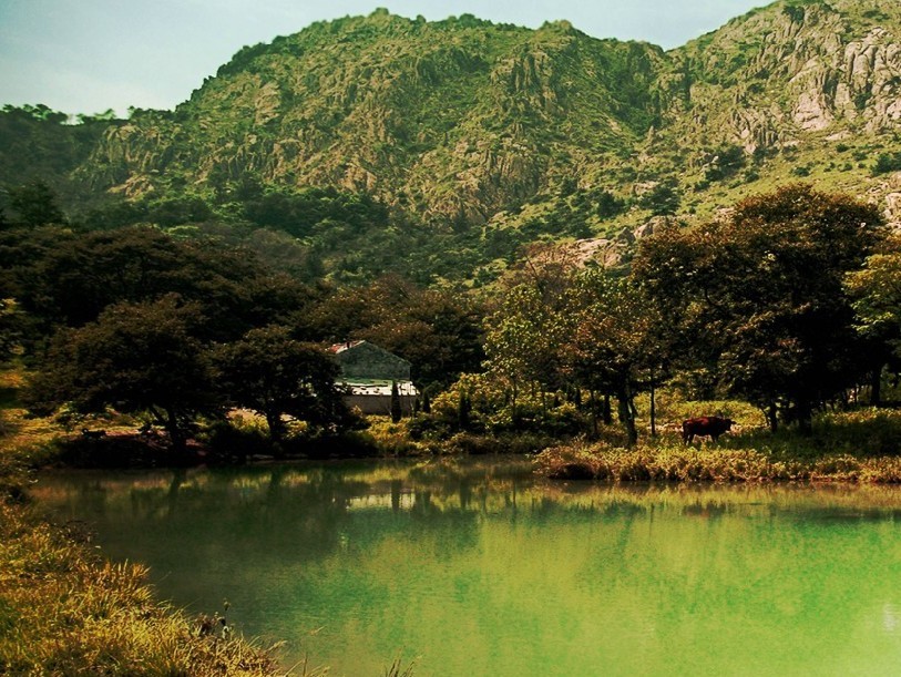 藏南鎮藏馬山國際鄉村游