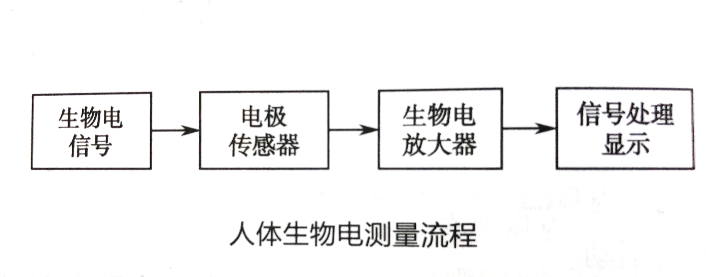 人體生物電測量流程